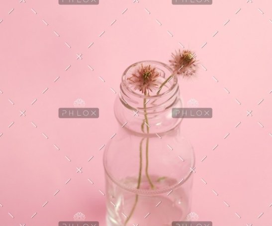 demo-attachment-796-photo-1429679310900-bad303d0e63a-1@2x